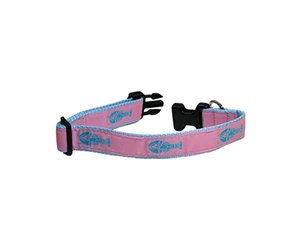 peston dog collar