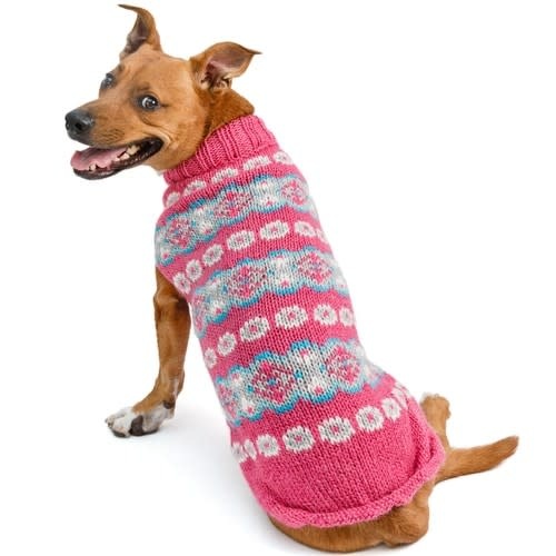 alpaca wool dog sweaters