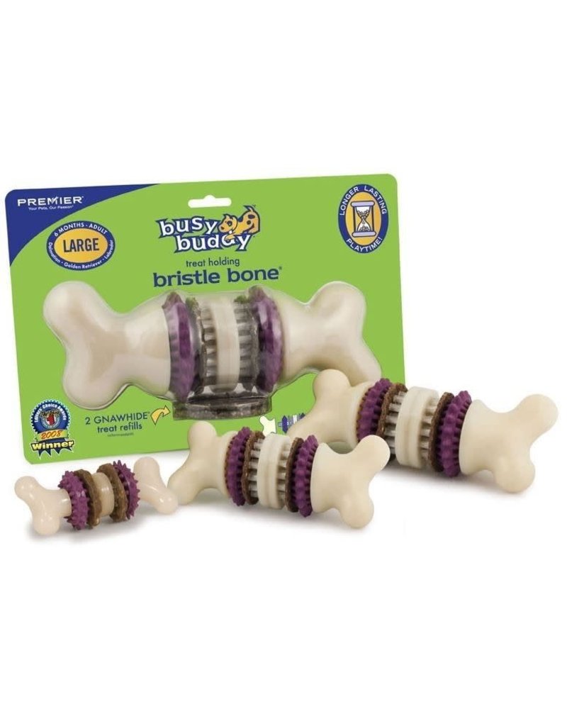 PetSafe Busy Buddy Bristle Bone, Keep Dog's Teeth Clean, Long-Lasting,  Large 