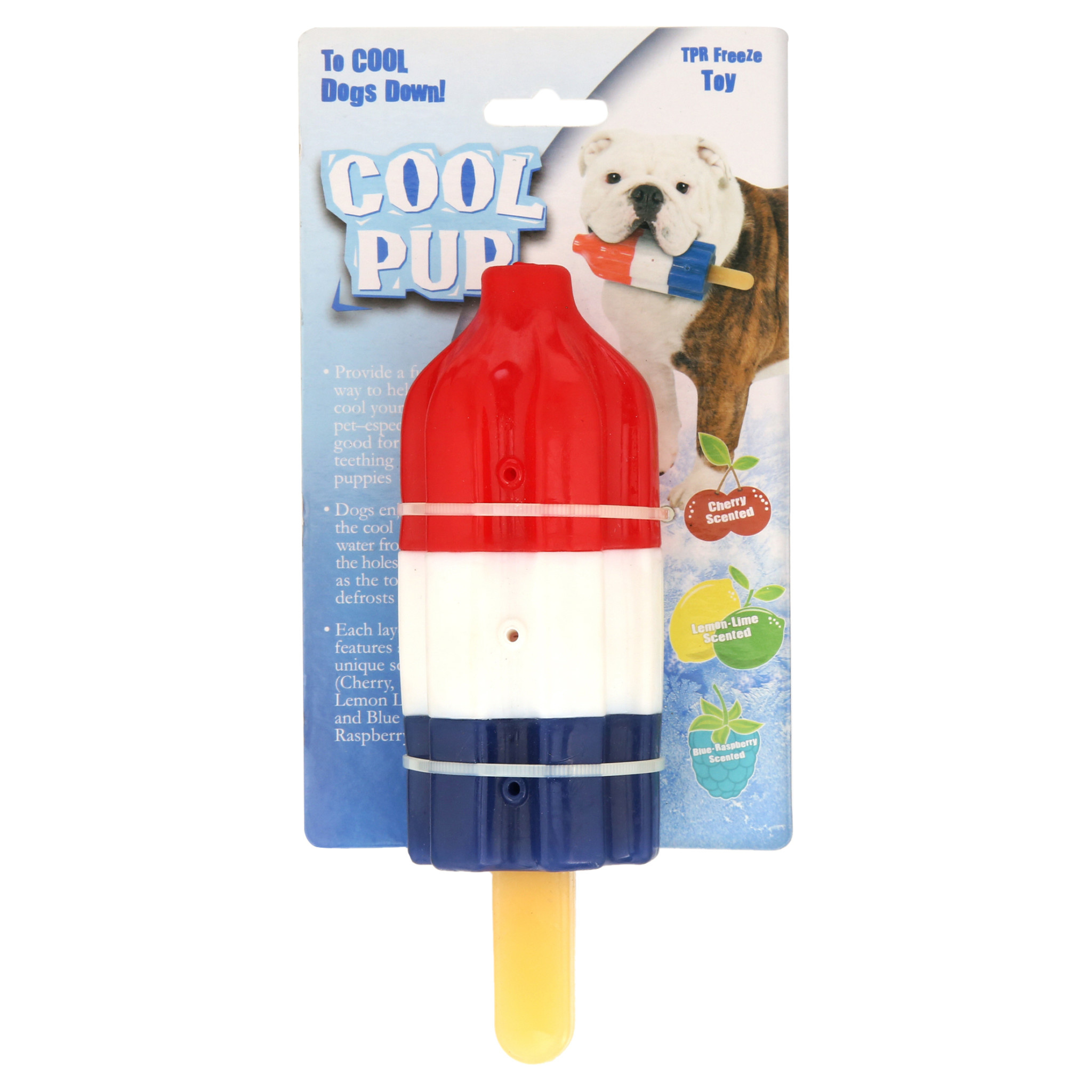 COOL PUP Pop Toy | The Fish Bone - The Fish &