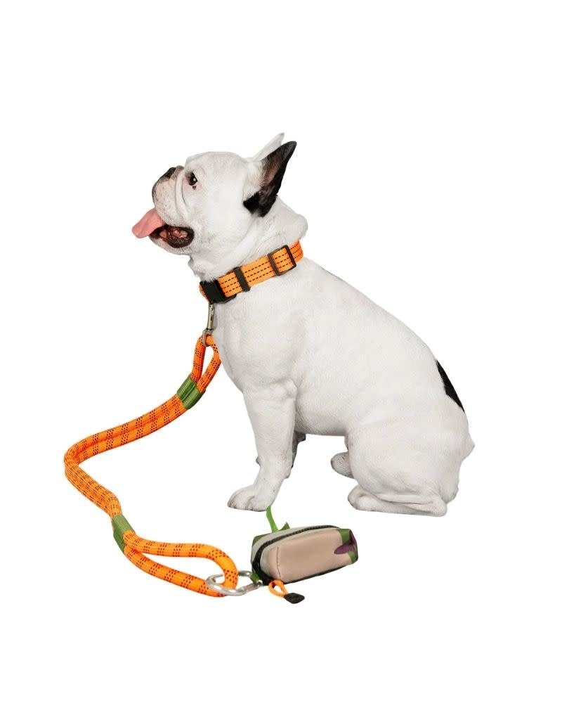 Traction Rope Dog Leash(orange And Green)