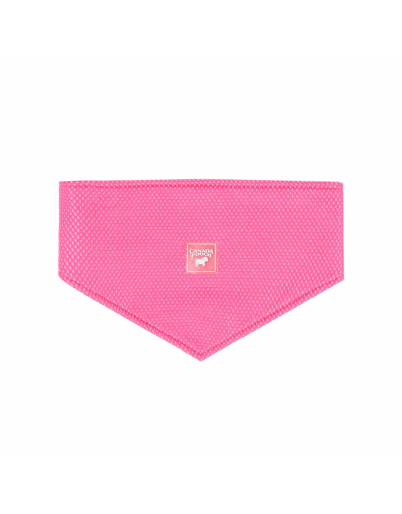 CANADA POOCH CANADA  POOCH Chill Seeker Cooling Bandana Neon Pink