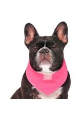 CANADA POOCH CANADA  POOCH Chill Seeker Cooling Bandana Neon Pink