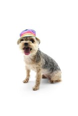 Dogo DOGO Rainbow Bucket Hat