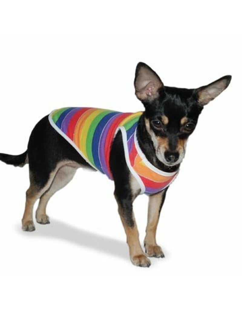 Dogo DOGO Rainbow Tank