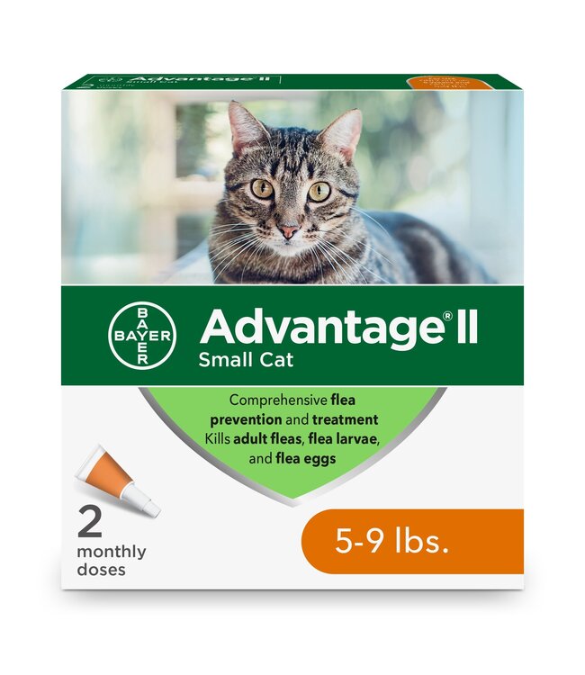 Bayer advantage for cats store