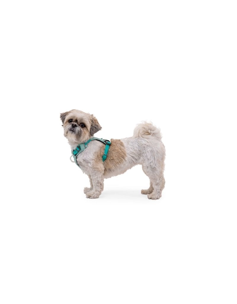 RUFFWEAR RUFFWEAR Hi & Light Harness - Sage Green