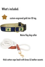 FISH & BONE FISH & BONE Maine Dog Collar, Tag & Leash Combo