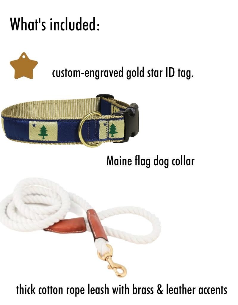 FISH & BONE FISH & BONE Maine Dog Collar, Tag & Leash Combo