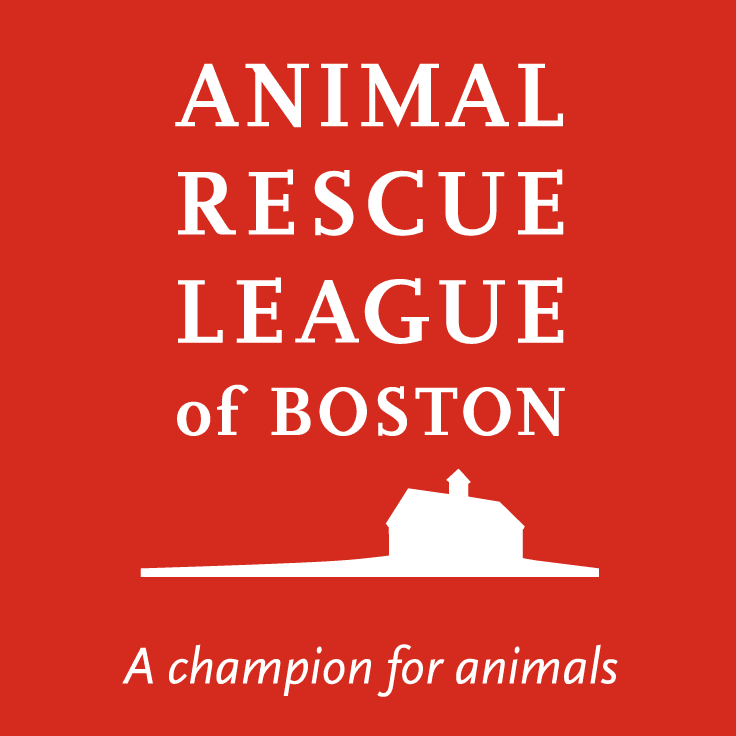 ARL Boston logo