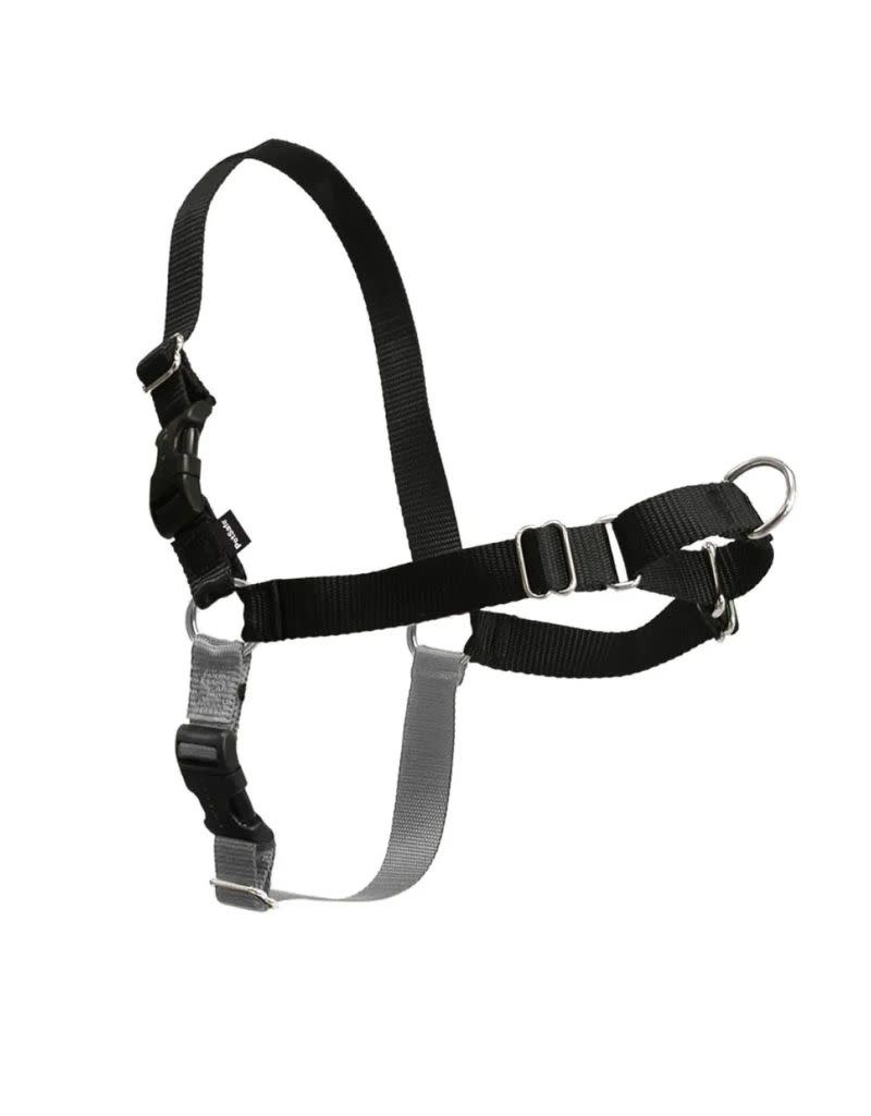 Easy Walk Harness Black The Fish & Bone