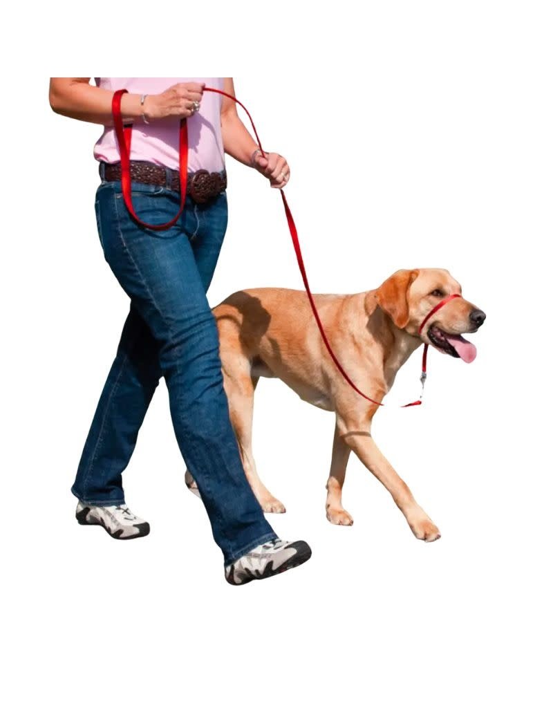 PETSAFE PETSAFE Gentle Leader No-Pull Head Collar Red