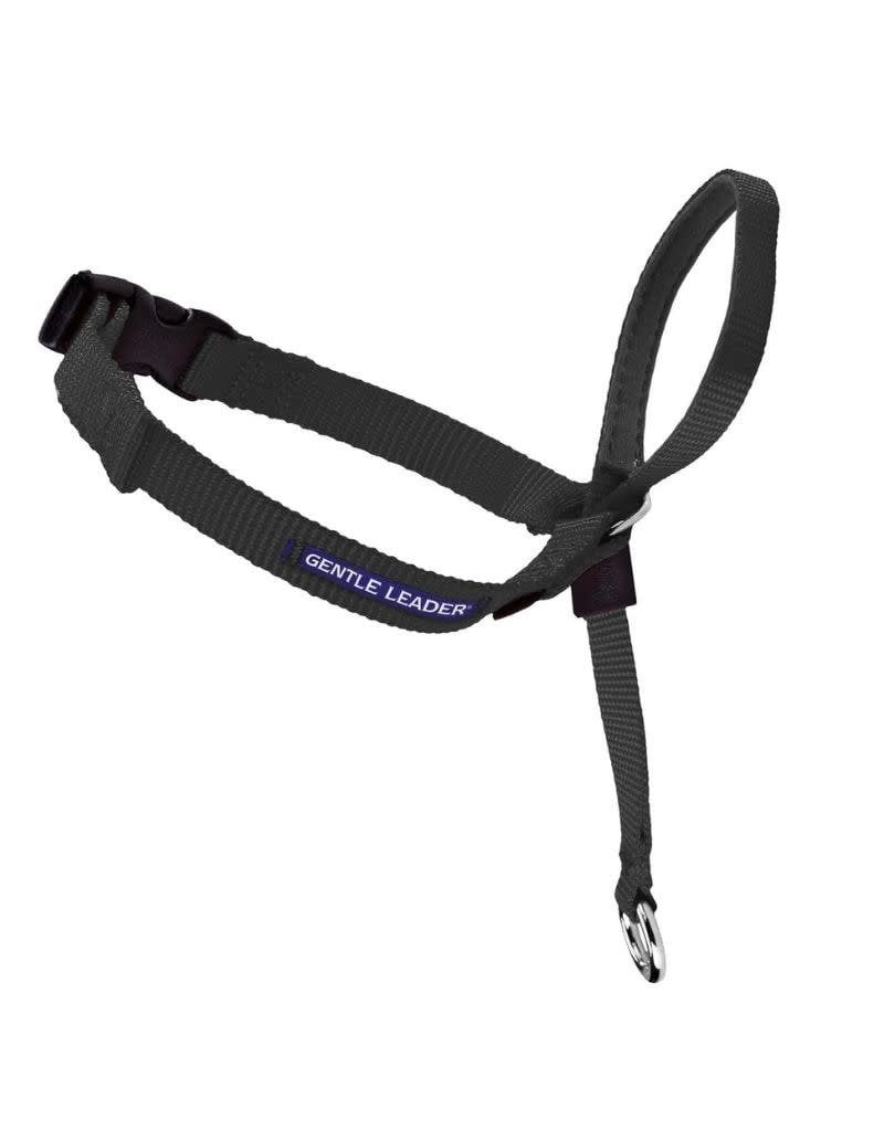 PETSAFE PETSAFE Gentle Leader No-Pull Head Collar Black