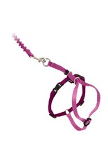 PETSAFE Come With Me Kitty Dusty Rose