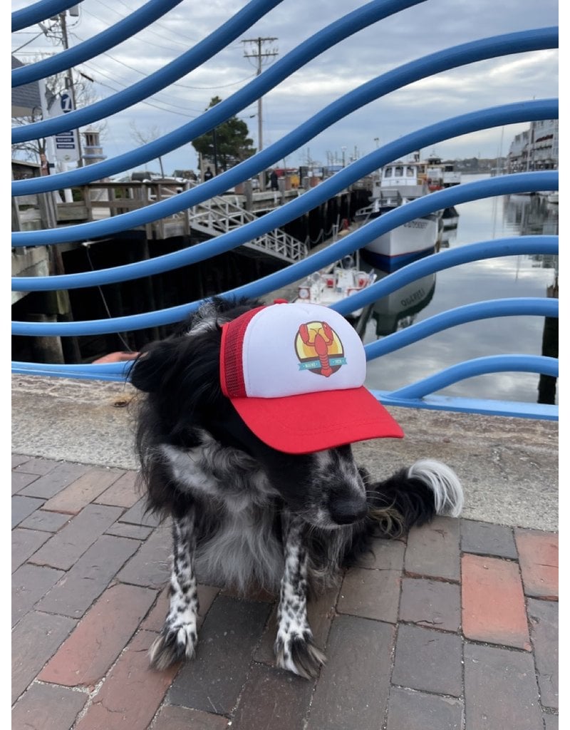 Puplids PUPLID Dog Trucker Hat Maine Lobster