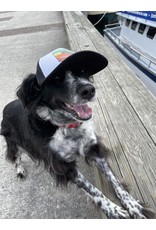 Puplids PUPLID Dog Trucker Hat Moose