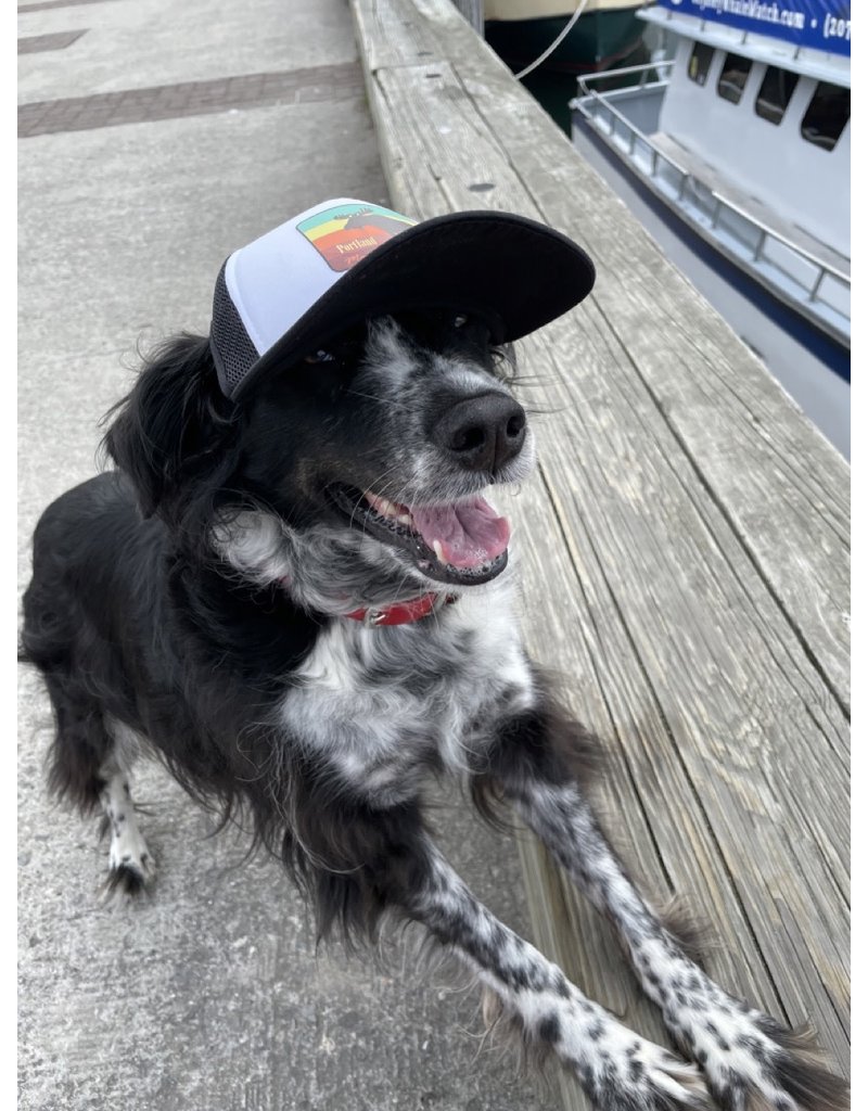 Puplids PUPLID Dog Trucker Hat Moose