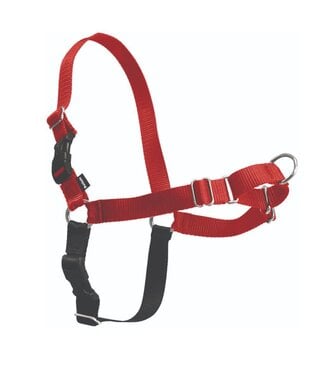 Petsafe harness how to put on sales