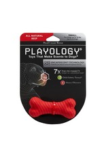 Playology PLAYOLOGY All Natural Beef Scented Dual Layer Bone