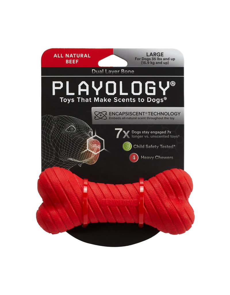 Playology PLAYOLOGY All Natural Beef Scented Dual Layer Bone