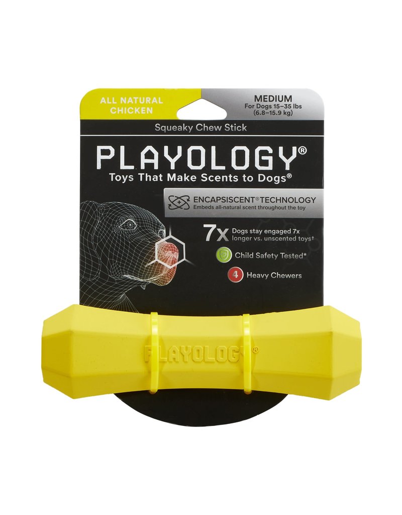 Playology PLAYOLOGY All Natural Chicken Scented Squeaky Chew Stick