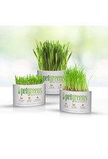 PET GREENS PET GREENS Self-Grow Cat Grass Kit Organic Oat, Rye & Barley Medley