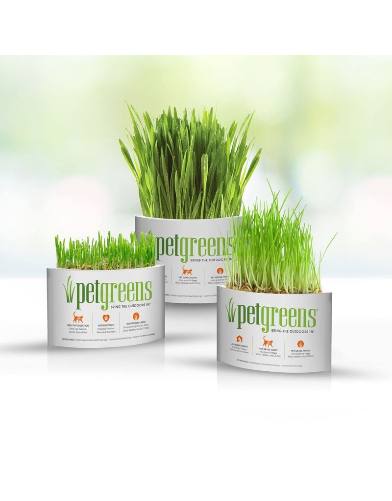 PET GREENS PET GREENS Self-Grow Cat Grass Kit Organic Oat, Rye & Barley Medley