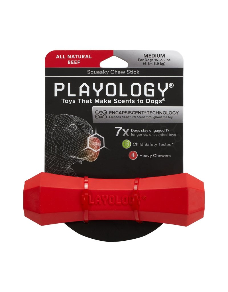 Playology PLAYOLOGY All Natural Beef Scented Squeaky Chew Stick