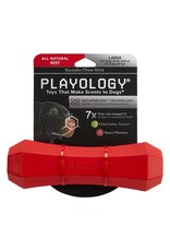 Playology PLAYOLOGY All Natural Beef Scented Squeaky Chew Stick