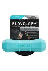 PLAYOLOGY All Natural Peanut Butter Scented Squeaky Chew Stick