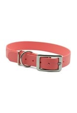 Packt PACKT Ascent Buckle Collar Coral