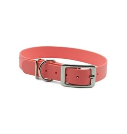 Packt PACKT Ascent Buckle Collar Coral