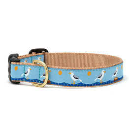 UP COUNTRY UP COUNTRY Dog Collar Gull Watch