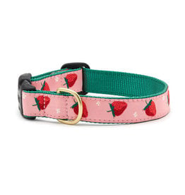 UP COUNTRY UP COUNTRY Dog Collar Strawberry Fields