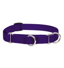 LUPINE Martingale Dog Collar Purple
