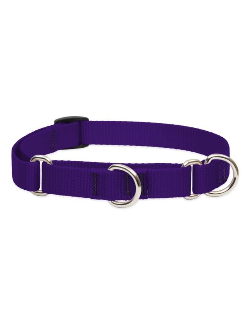 LUPINE Martingale Dog Collar Purple