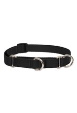 LUPINE Martingale Dog Collar Black