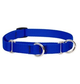 LUPINE Martingale Dog Collar Blue