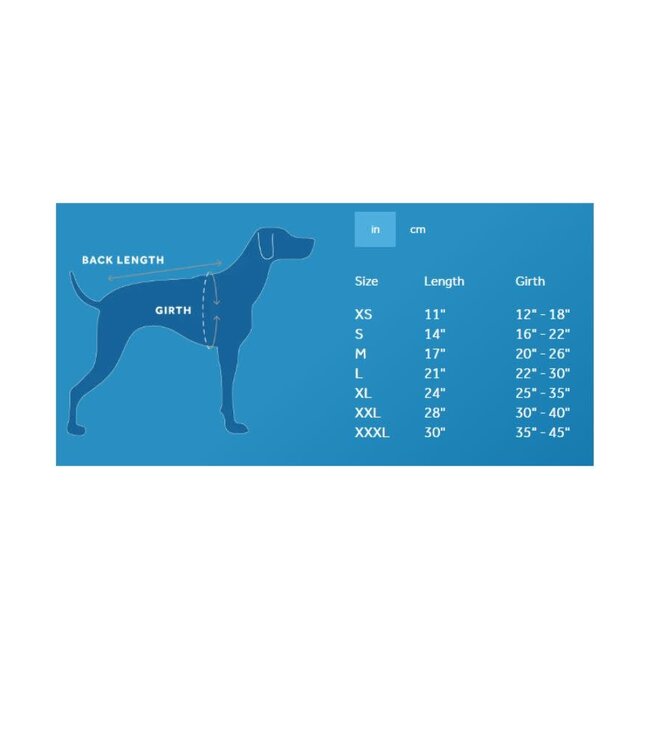 RC PET Packable Poncho Raindrops