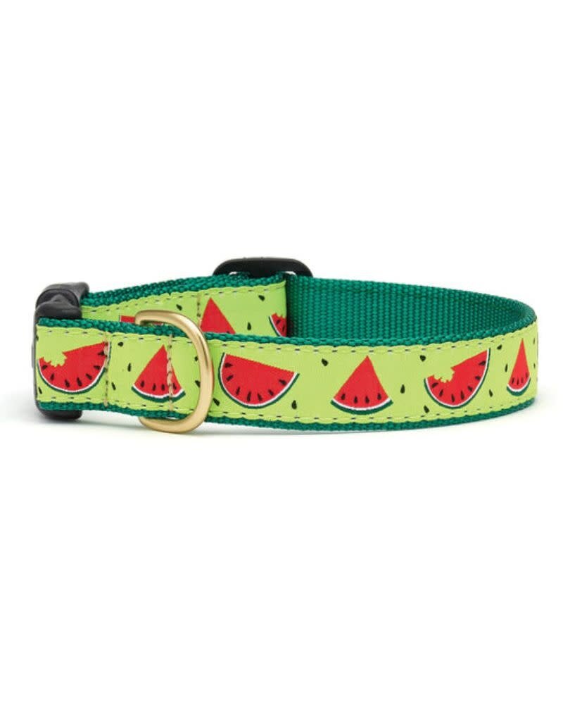 UP COUNTRY UP COUNTRY Dog Collar One in a Melon