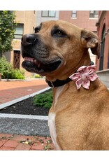 CHLOE & MAX CHLOE & MAX Collar Flower Strawberries On Gingham