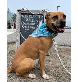 FISH & BONE FISH & BONE Bandana Teal Sailboats