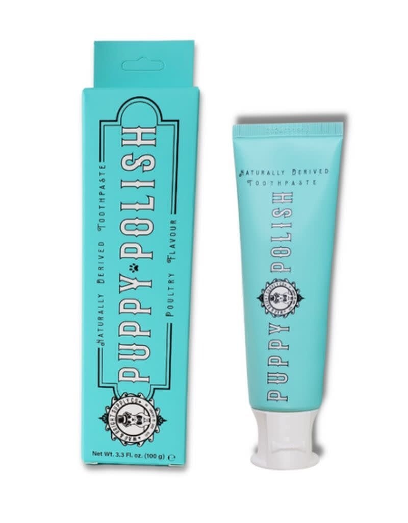 WAG & BRIGHT SUPPLY CO WAG & BRIGHT Puppy Polish Toothpaste