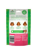 GREENIES GREENIES Pill Pockets for Cats Salmon 1.6oz