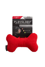Playology PLAYOLOGY All Natural Beef Scented Plush Squeaky Bone