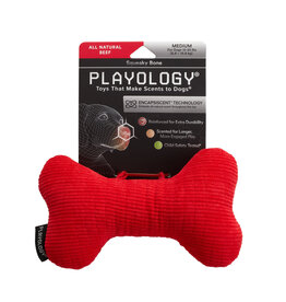 Playology PLAYOLOGY All Natural Beef Scented Plush Squeaky Bone