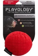 Playology ! PLAYOLOGY All Natural Beef Scented Plush Squeaky Ball