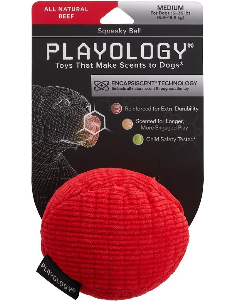 Playology Squeaky Chew Ball Dog Toy Beef Medium