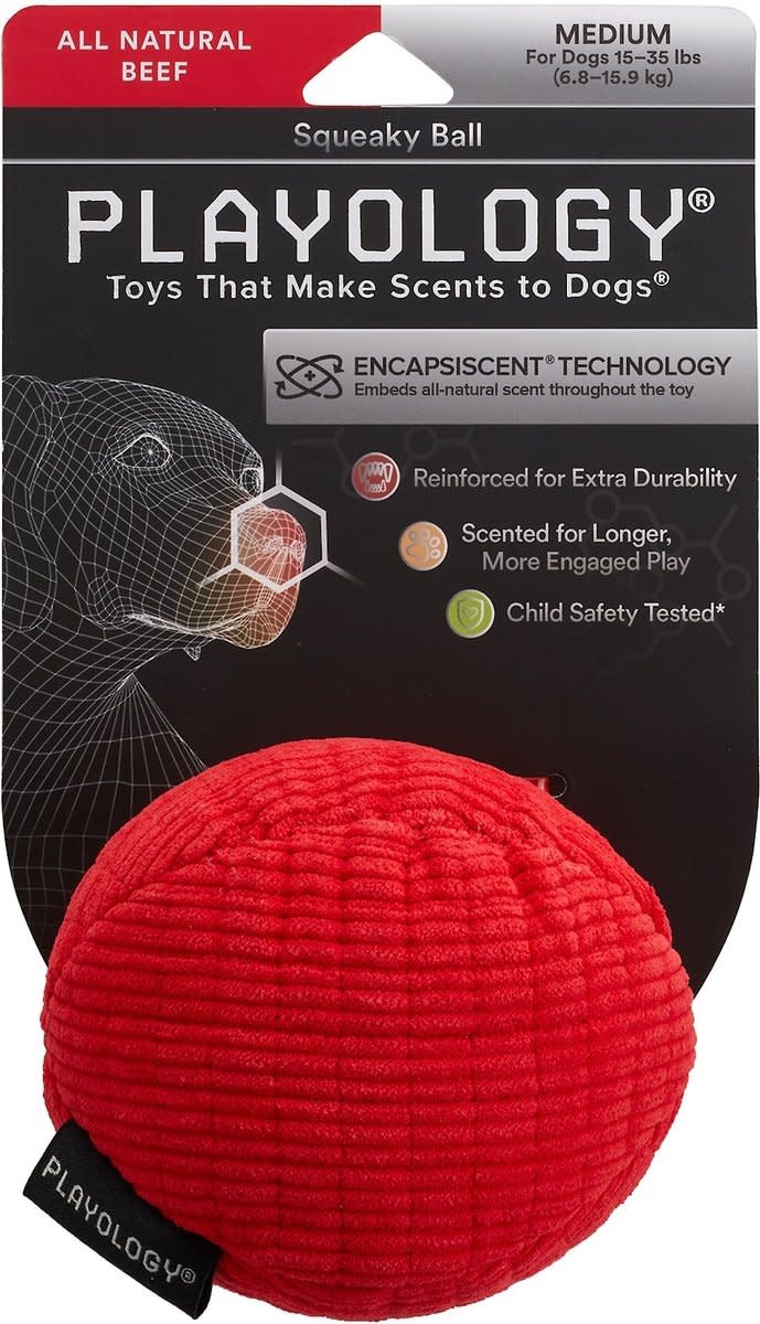 Playology Plush Bone Beef Scented Dog Toy - Medium