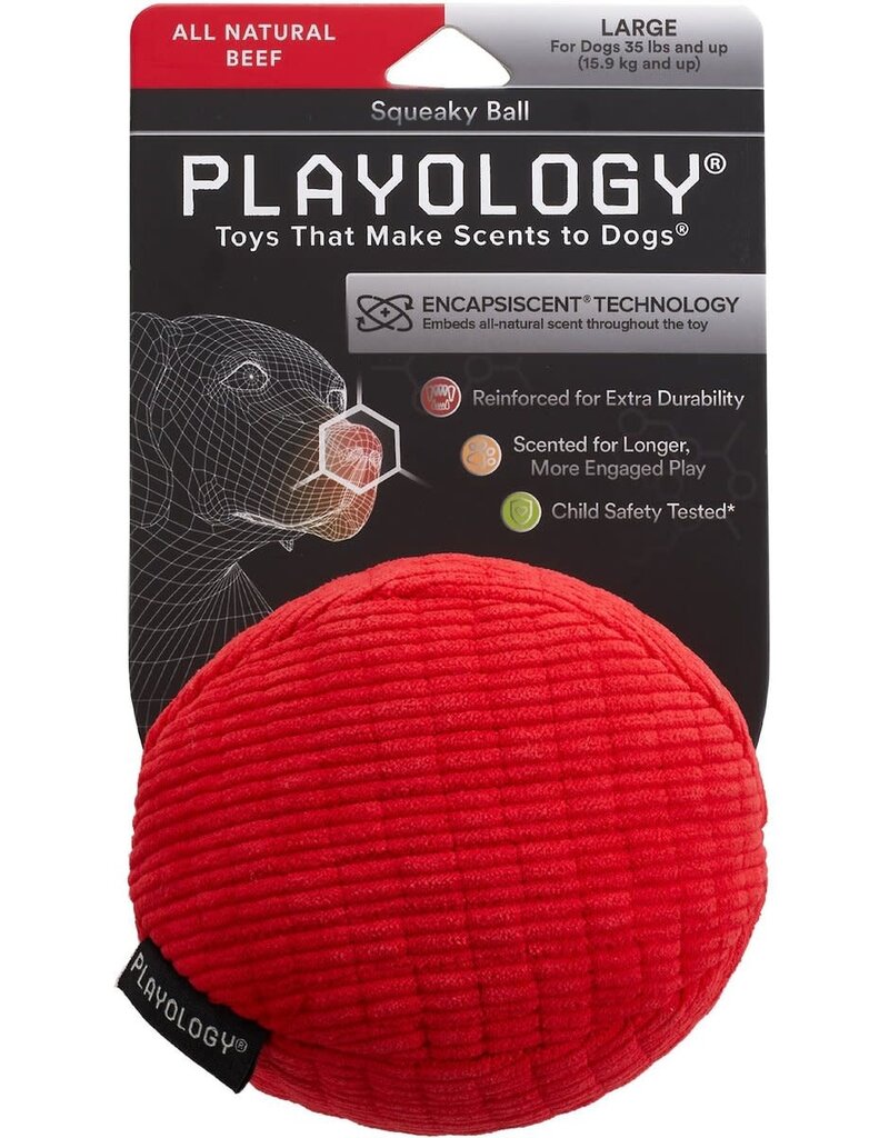 Playology PLAYOLOGY All Natural Beef Scented Plush Squeaky Ball